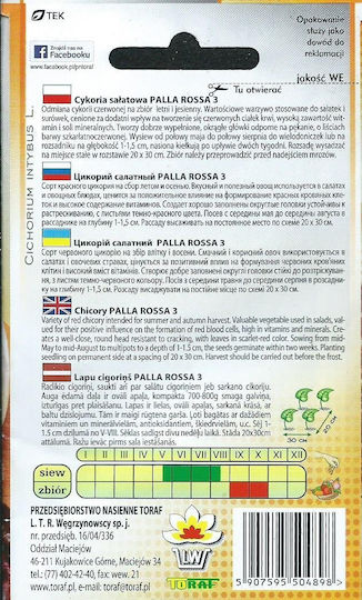 Toraf Vegetable Seeds Palla Rossa 3 Chicory Lettuce 5g Pack