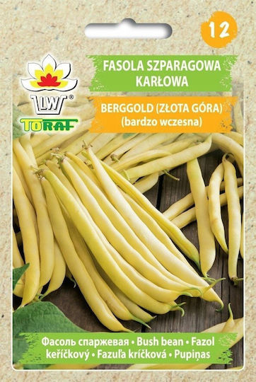Toraf Vegetable Seeds Radish Saxa 3 Package 10g