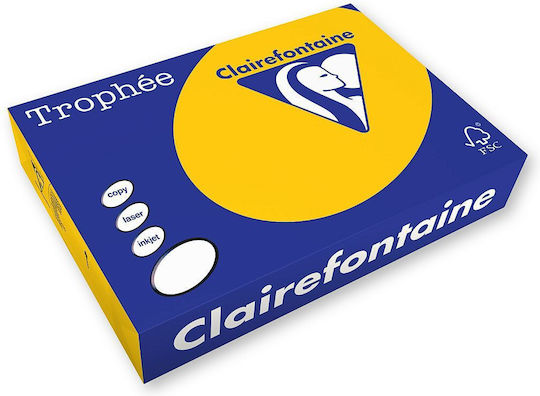 Clairefontaine Photocopy Paper A4 80g Trophee Gold-Yellow Xca41780 Clairefontaine