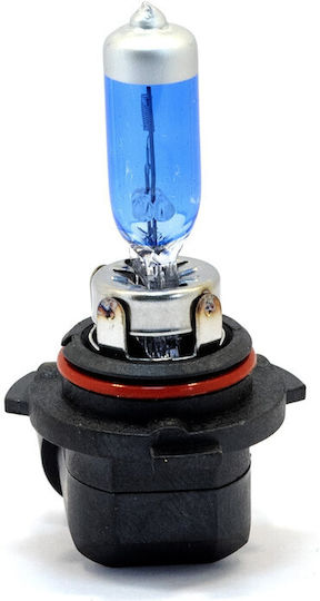 Einparts Lamps Car HB4-9006 Halogen 5000K Cold White 12V 55W 2pcs