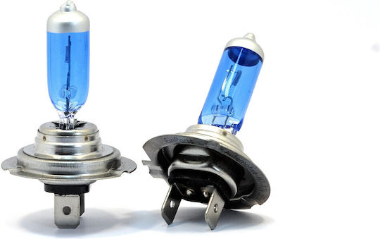 Einparts Lampen Auto H7 Halogen 5000K Kaltes Weiß 12V 55W 2Stück