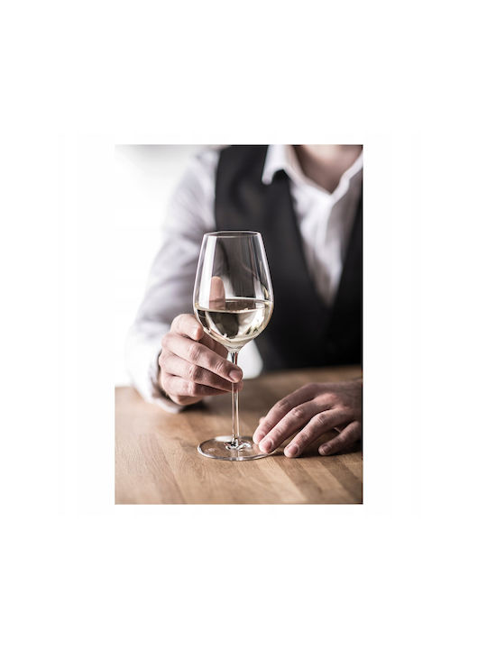 Zwiesel Glas Set of Glasses Water made of Glass Stemmed 319ml 2pcs