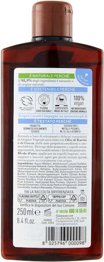Phyto Ξηρό Σαμπουάν 250ml