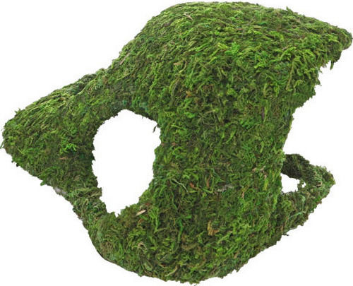 Shrimp Fish Nest Hobby Terrarium Jungle Cave 2 17x17x12 cm