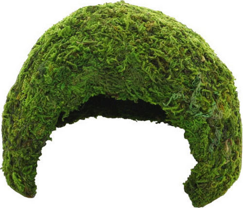 Shrimp Fish Nest Hobby Terrarium Jungle Cave 2 17x17x12 cm