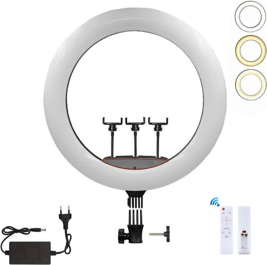 Ring Light 45.72cm with Mobile Phone Holder