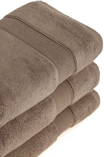 Detexpol Badehandtuch 70x140εκ. Braun Gewicht 100gr/m²