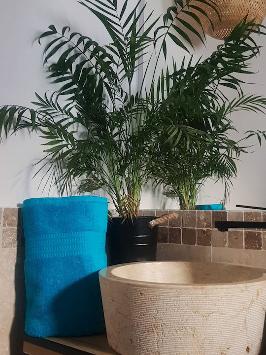 Kotonia Home Pânză De Față Rise 50x90cm Turcoaz Greutate 500gr/m²