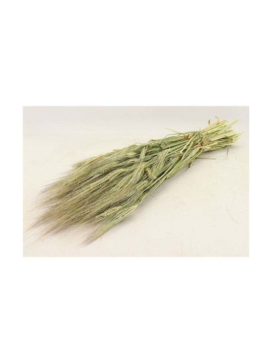 Dried Plant Beige HBX DECO B.V.