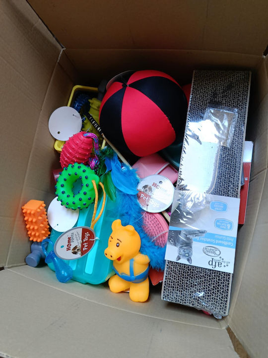 Set Over 60 Items Pet Accessories Toys Containers Bottles More