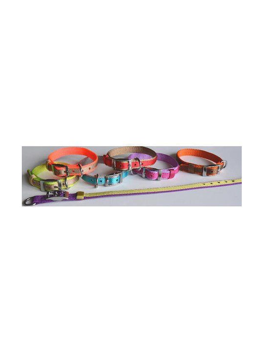 Guler pentru câini de Tip Simplu Culoare Roșu 20mmx50cm Guler pentru câini de Tip Simplu Culoare Roșu 20mmx50cm