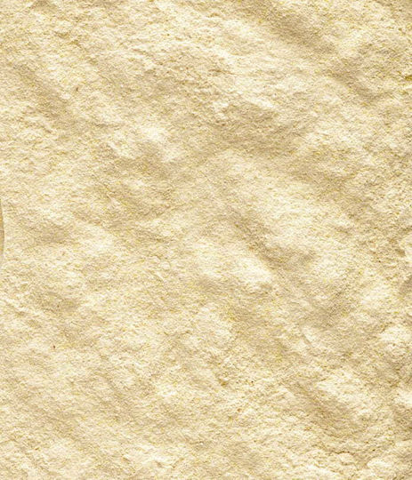 Versele Laga Orlux Handmix Κρέμα Νεοσσών 500gr