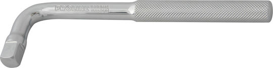 Proline 18581