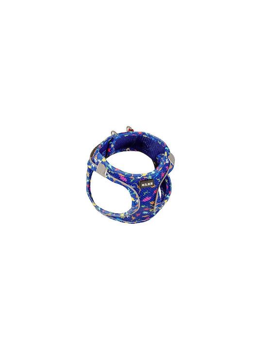 Glee Albastru XX-Small Glee Albastru XX-Small