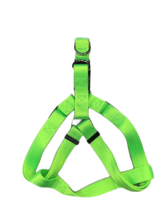Pet Camelot Easy Walker 3503 Πράσινο 16mm x 30-50cm