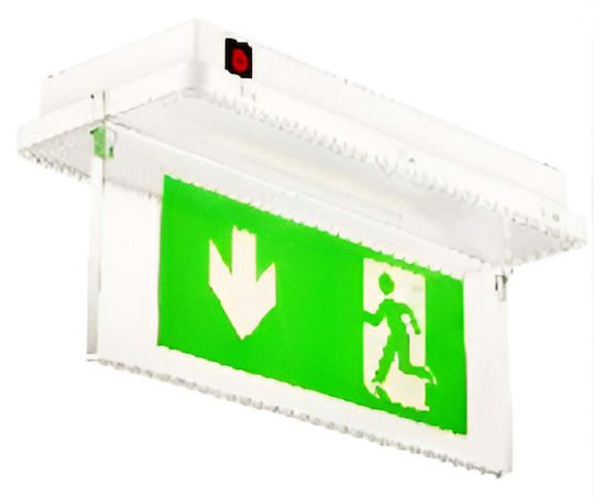 Avide Exit Emergency Light with Battery Powered and Photocell 21pcs