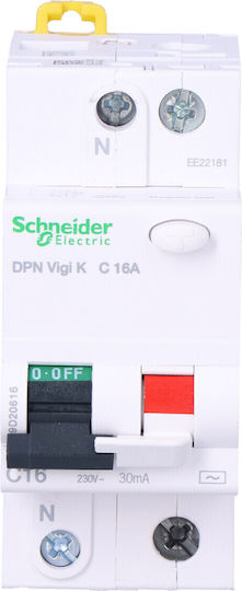 Schneider Electric 2-Poles Panel Push Switch 230V 16A