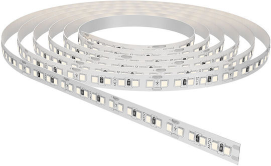 Braytron Ταινία LED 24V Ψυχρό Λευκό Φως 5m Τύπου SMD5050