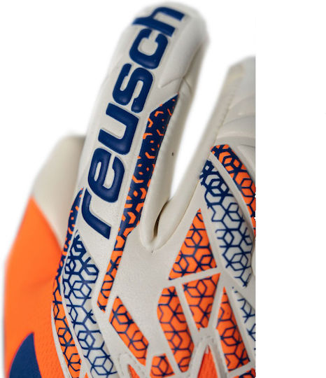 Reusch Reusch Attrakt Adults Goalkeeper Gloves Multicolour