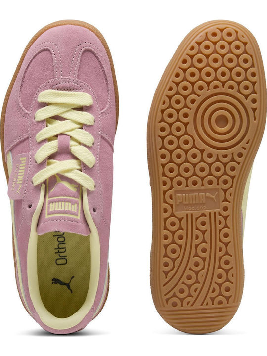 PUMA