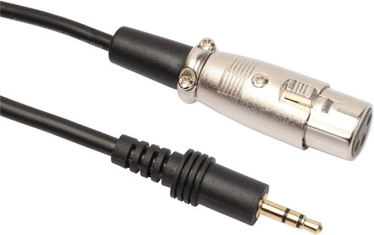 Cable XLR female - 3.5mm male 3m (MCP0005)