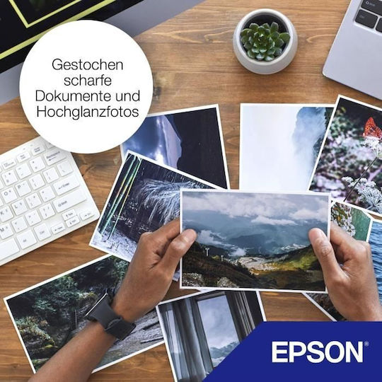 Epson 29 Original InkJet Druckerpatrone Gelb (C13T29844010 C13T29844012)