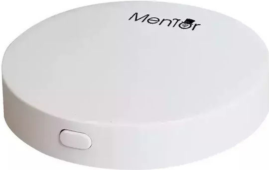 Smart Gateway Zigbee Συμβατό με Google Home & Alexa