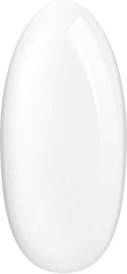 Palu Builder Clear Gel 12g Multifunctional Gel