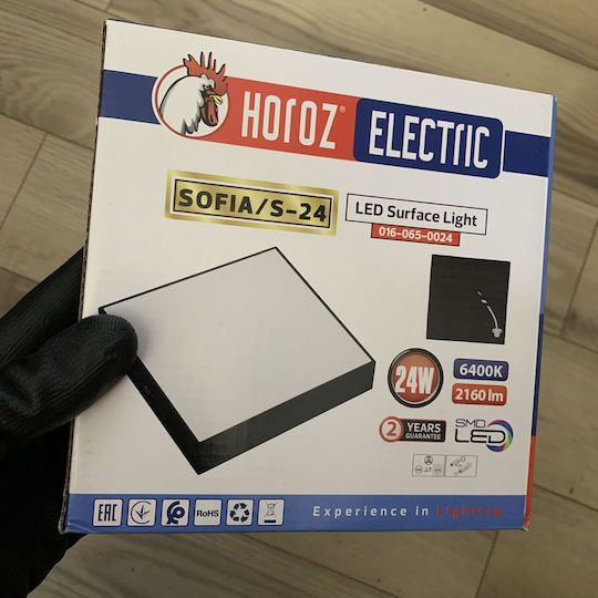 Sofia Square-24 Plafonieră LED Neagră Lumină Rece 24W 170x170 mm 2160 Lm Negru Sofia Square-24 Plafonieră LED Neagră Lumină Rece 24W 170x170 mm 2160 Lm Negru