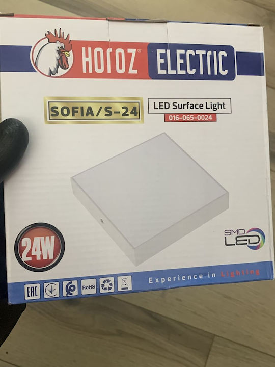 Lustră LED pătrată Sofia 24 albă, lumină rece 24W 170x170 mm 2160 lm albă