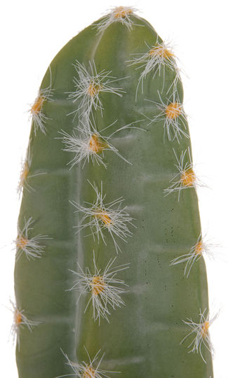 Decorative Synthetic Plant Hm4741 Cactus Pot Φ19 5x141cm