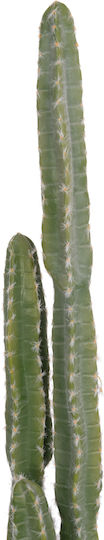 Decorative Synthetic Plant Hm4741 Cactus Pot Φ19 5x141cm