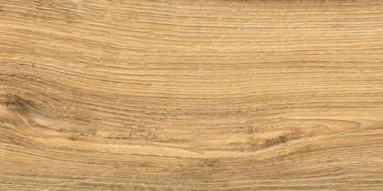 Izida Fliese Boden Innenbereich 60.6x30.3cm Brown