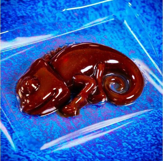 Lisciani Giochi Slime Chameleon Εκπαιδευτικό Παιχνίδι Πειράματα για 7+ Ετών