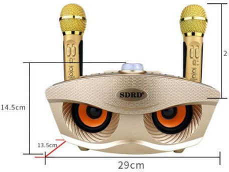 Ηχείο Karaoke με Ασύρματα Μικρόφωνα SD-306S Χρυσό