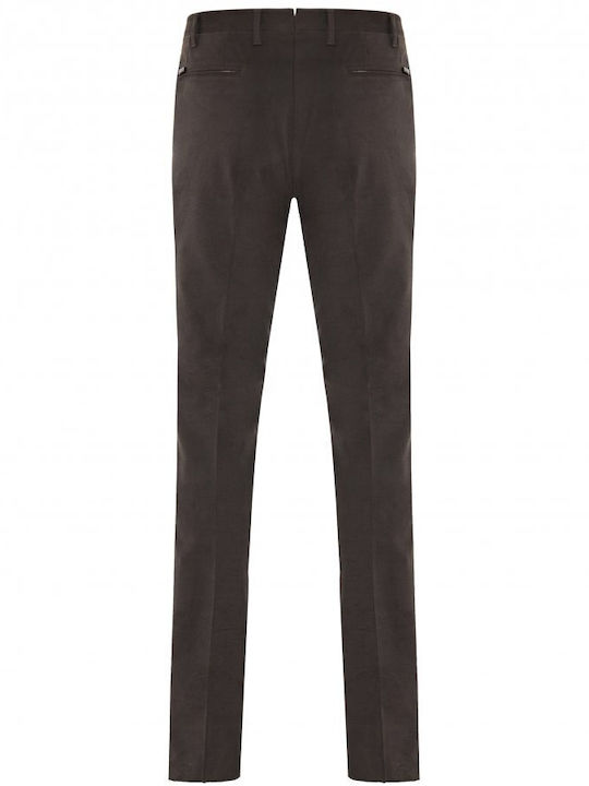 CC Collection Corneliani