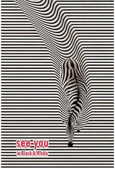 Black & White Spiral Caiet Cu dungi A4 1buc (desene și modele diverse)
