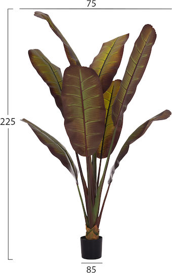 Decorative Synthetic Plant Hm4740 Japanese Banana Pot 85x75x225cm Decorative Synthetic Plant Hm4740 Japanese Banana Pot 85x75x225cm