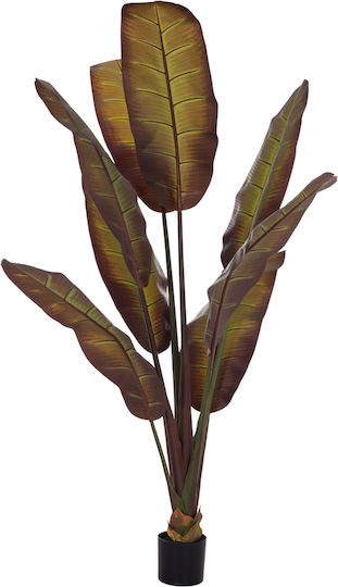 Decorative Synthetic Plant Hm4740 Japanese Banana Pot 85x75x225cm