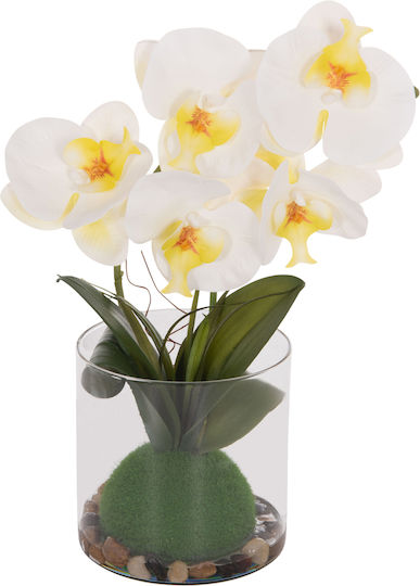 Dekoratives Künstliches Pflanze Hm4738 Blume Phalaenopsis Glasvase 12x24x30cm