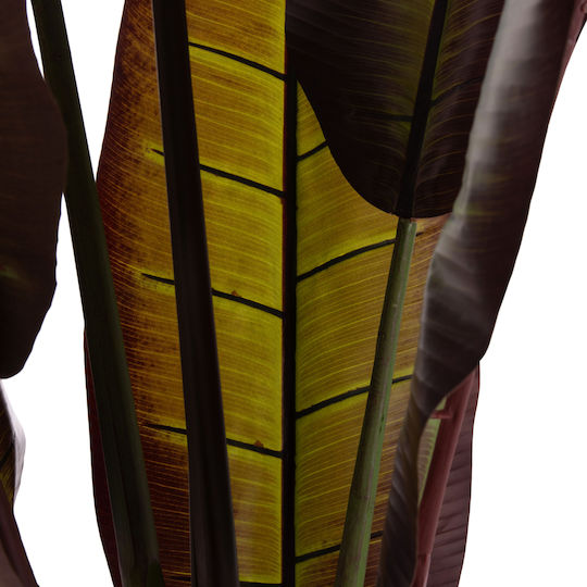 Decorative Synthetic Plant Hm4740 Japanese Banana Pot 85x75x225cm