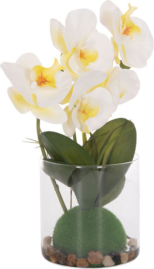 Dekoratives Künstliches Pflanze Hm4738 Blume Phalaenopsis Glasvase 12x24x30cm