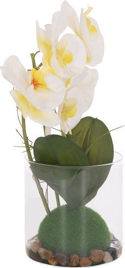 Dekoratives Künstliches Pflanze Hm4738 Blume Phalaenopsis Glasvase 12x24x30cm
