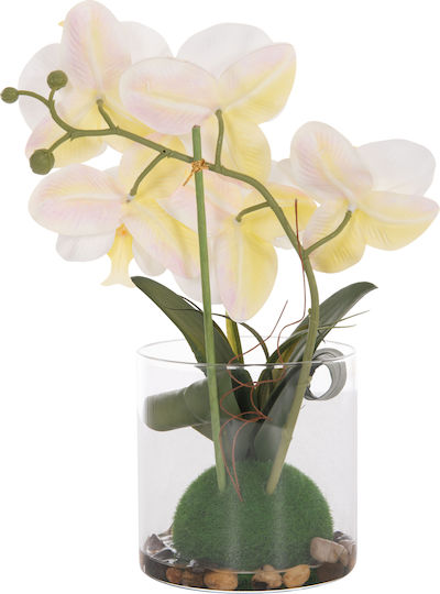 Dekoratives Künstliches Pflanze Hm4738 Blume Phalaenopsis Glasvase 12x24x30cm