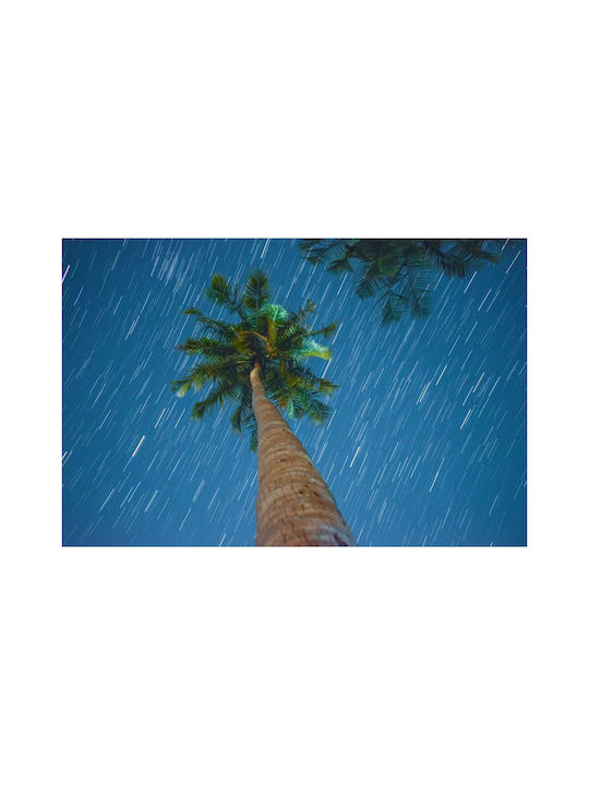 Πίνακας Palm Tree Under Starry Night Φοίνικας Κάτω Έναστρη Νύχτα 150x100