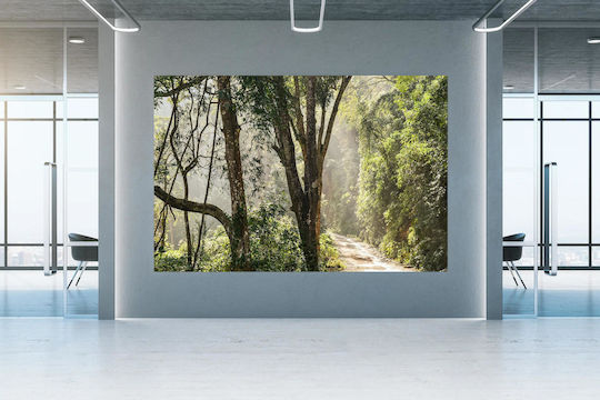 Painting Forest Path In Morning Light Forest Path In The Morning Light 150x100