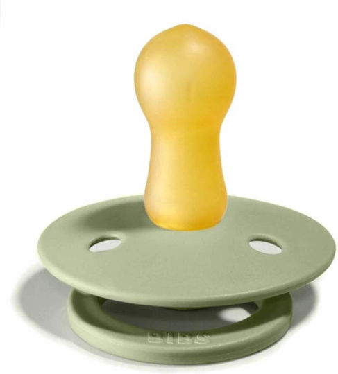 Bibs Colour Anatomical Pacifiers Rubber Sage Hunter Green for 6-18 months 2pcs