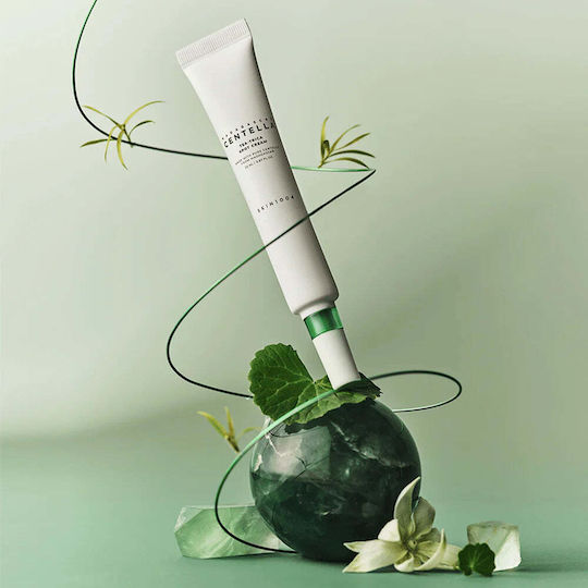 Skin1004 Madagascar Centella Tea-Trica Spot Ενυδατική & Αντιγηραντική Κρέμα Προσώπου Ημέρας κατά της Ακμής με Centella Asiatica 20ml