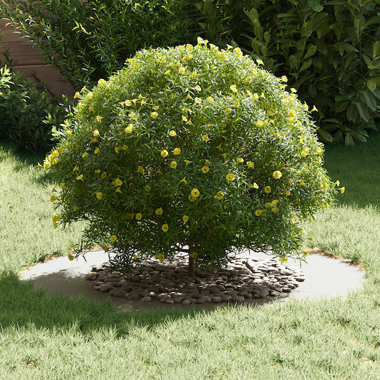 vidaXL Gartenzaunmaterial aus Kunststoff 80cm 1Stück White