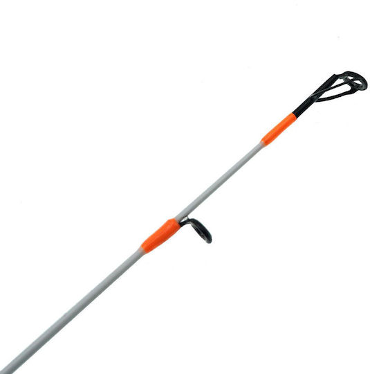 Shimano Beastmaster Angelrute für Vertikalangeln 2.44m 150gr